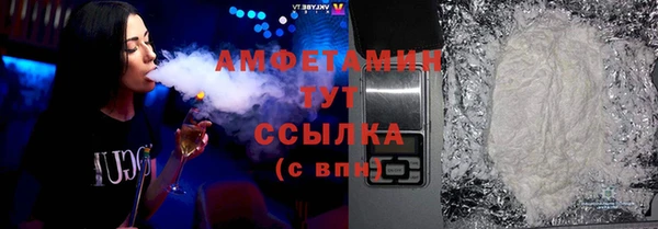 дживик Бородино
