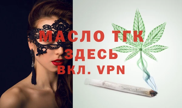 дживик Бородино