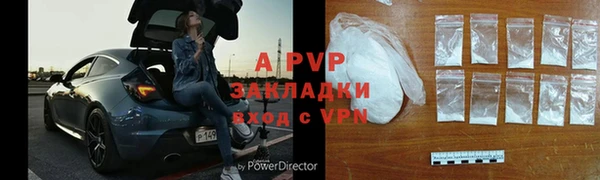 дживик Бородино