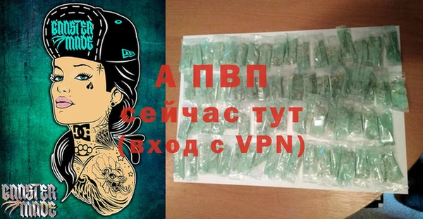 дживик Бородино