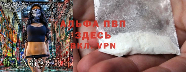 дживик Бородино