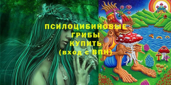 прущие крисы Бугульма