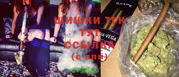 дживик Бородино