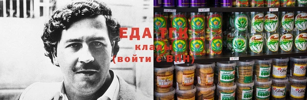 дживик Бородино