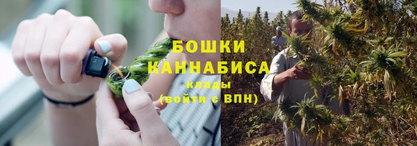 ПСИЛОЦИБИНОВЫЕ ГРИБЫ Бронницы