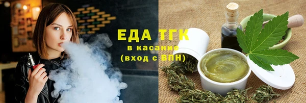 дживик Бородино