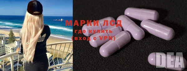 дживик Бородино